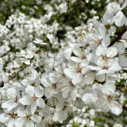 Фотография от Наталья николаева(береснева)