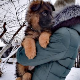 Фотография от Екатерина Сергеева