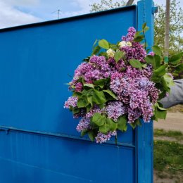 Фотография от Таня Грецкая (Шкробат)