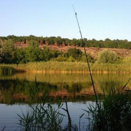 Фотография от Наташа Казанцева(Рекичанская)