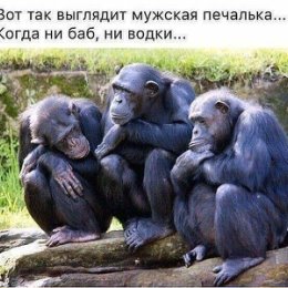 Фотография от Игорь Феофанов