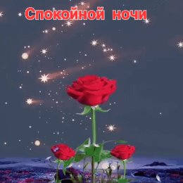 Фотография от Любовь Семёнова (Квитко)