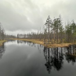 Фотография от Кирилл Фокин