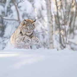 Фотография от Вадим Шрейдер Moroq Sunder