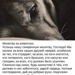 Фотография от Эля Груздева