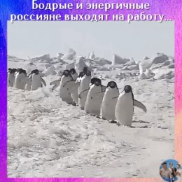 Фотография от Алексей Рогов