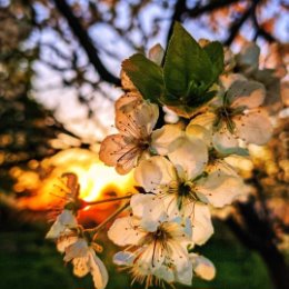 Фотография от Татьяна Полякова