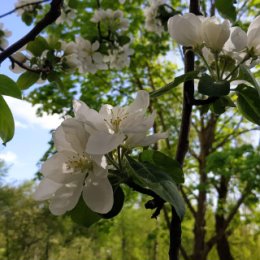 Фотография от Жанна Киселёва(Рябцева)