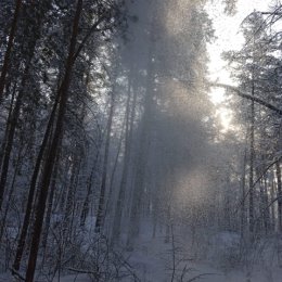 Фотография от Третьякова Александра