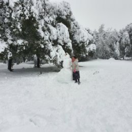 Фотография от Давид Копайгородский