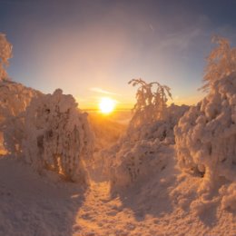 Фотография от Юлия Авдеева