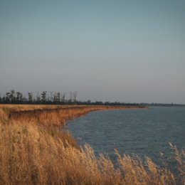 Фотография от Михаил Сыченко