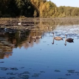 Фотография от Наталья Зубкова