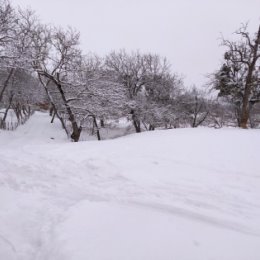 Фотография от Абумуслим зелимханов