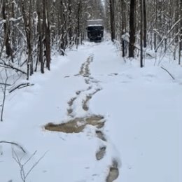 Фотография от Вася Шваб