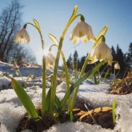 Фотография от Надежда Макарова