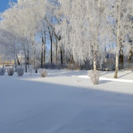 Фотография от Наталья Соболева (Паршина)