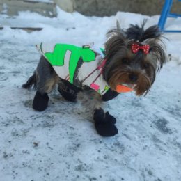 Фотография от Рукоделие для вас