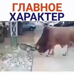 Фотография от АБДУЛЛАХ Шодмонов