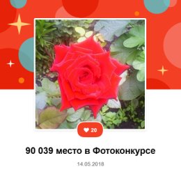 Фотография от Евгений БАСТРАКОВ