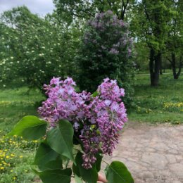 Фотография от Ольга Вавричина (Заболотная)