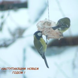 Фотография от Валерий Васильев