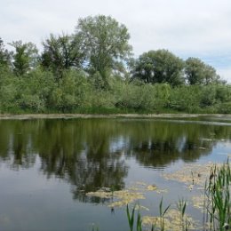 Фотография от Алексей Сергеевич