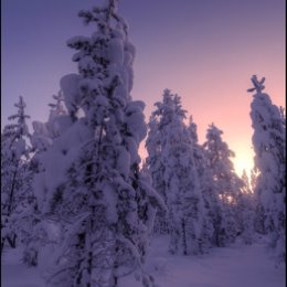 Фотография от Гомкцян Сергей