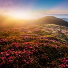 Фотография от Елена Воробьева (Лазутчик)