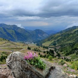 Фотография от Лариса Никитина (Липатова)