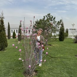 Фотография от Альмира Зинкина(Ганиева)