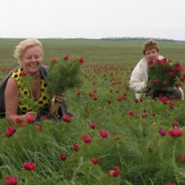 Фотография от Нина Чурсина