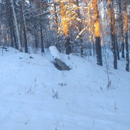 Фотография от Наталья Елисейкина (Литвиненко)