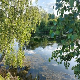 Фотография от Виталий Макеев