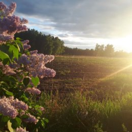 Фотография от Екатерина Толмачева (Котолевиц)