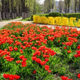 Фотография "Весна в Белгороде"