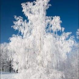 Фотография от Светлана Сергеевна Л