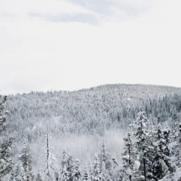 Фотография от Санек Новожилов