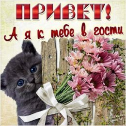 Фотография от 🌺Алла🌺 15