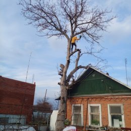 Фотография от Михаил Стрекозов