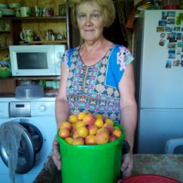 Фотография "30 лет ждали урожай абрикосов"