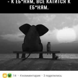 Фотография от надежда каратеева