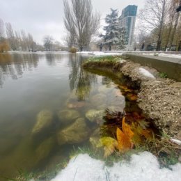 Фотография от Виктория Иванова (Горулько)