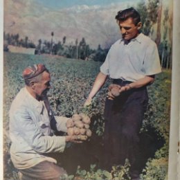Фотография "известный памирский картофелевод, дядя Худоназара Мирзонаботова, а второй, если не ошибаюсь, Сарбозбек Ватаншоев."