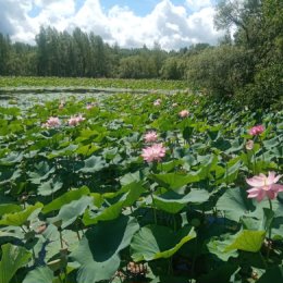 Фотография от Татьяна Горбань (Мурзина)