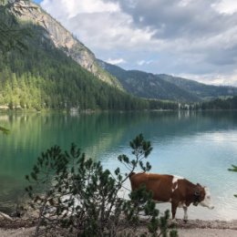 Фотография от Наташа Даниэле (Старцева)