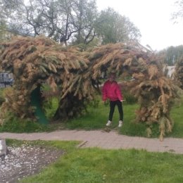 Фотография от Алёна Николаевна Россиина