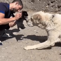 Фотография от Александр Мочалов