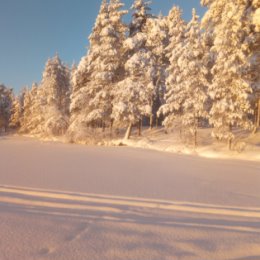 Фотография от Валера Никифоров