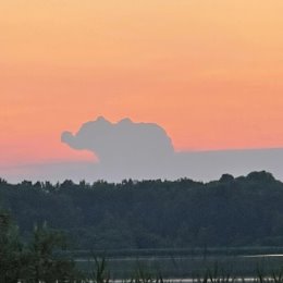 Фотография "Вот такие закаты бывают в Подмосковье!💥🤩"